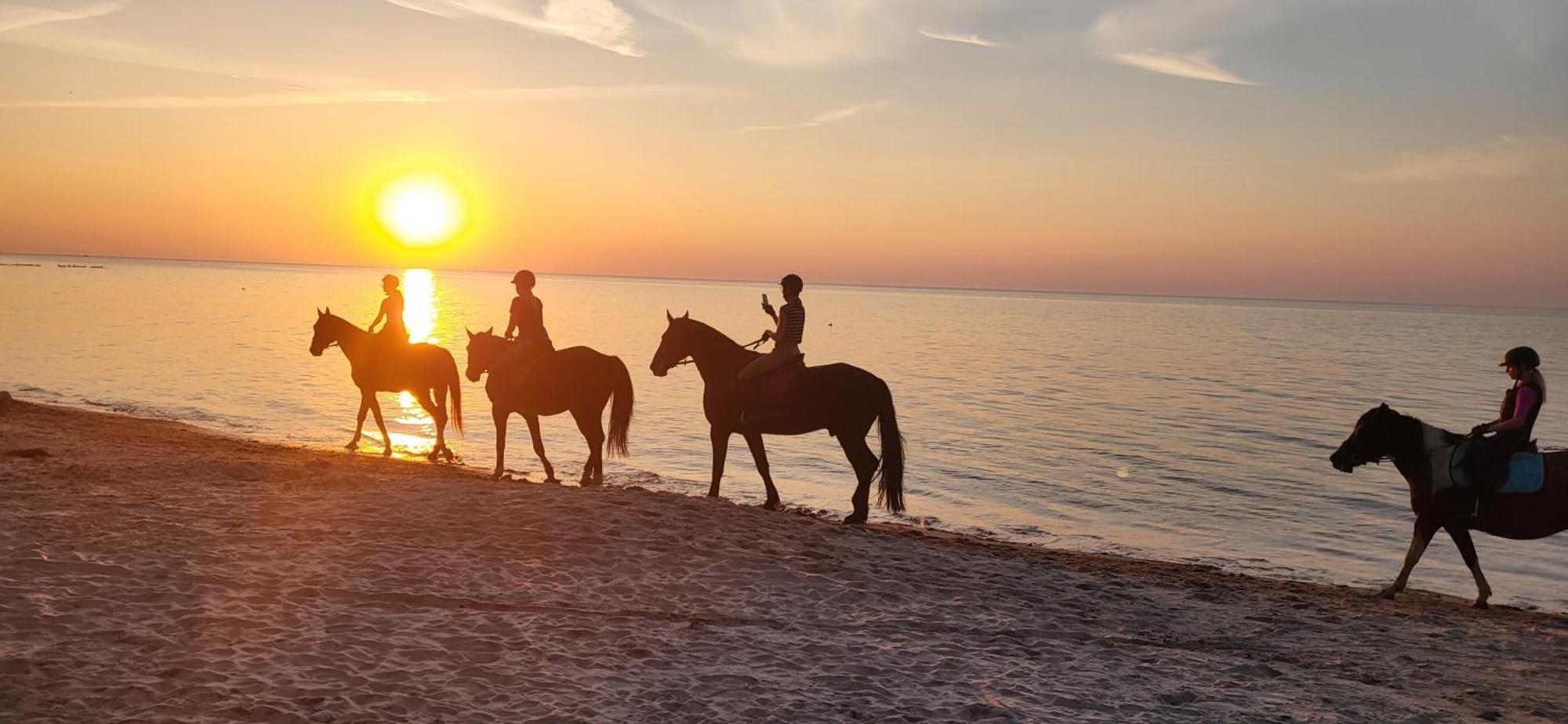 Domek letniskowy Sunny Baltic Bon Turystyczny